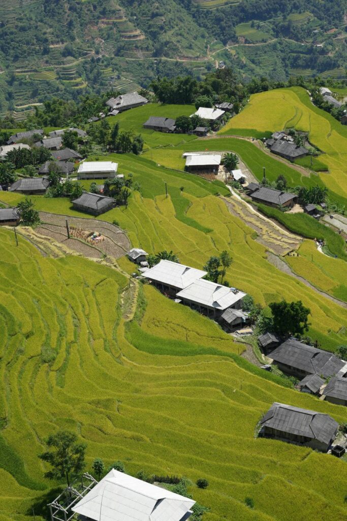 White and Black House on Green Grass Field in Ha Giang Province