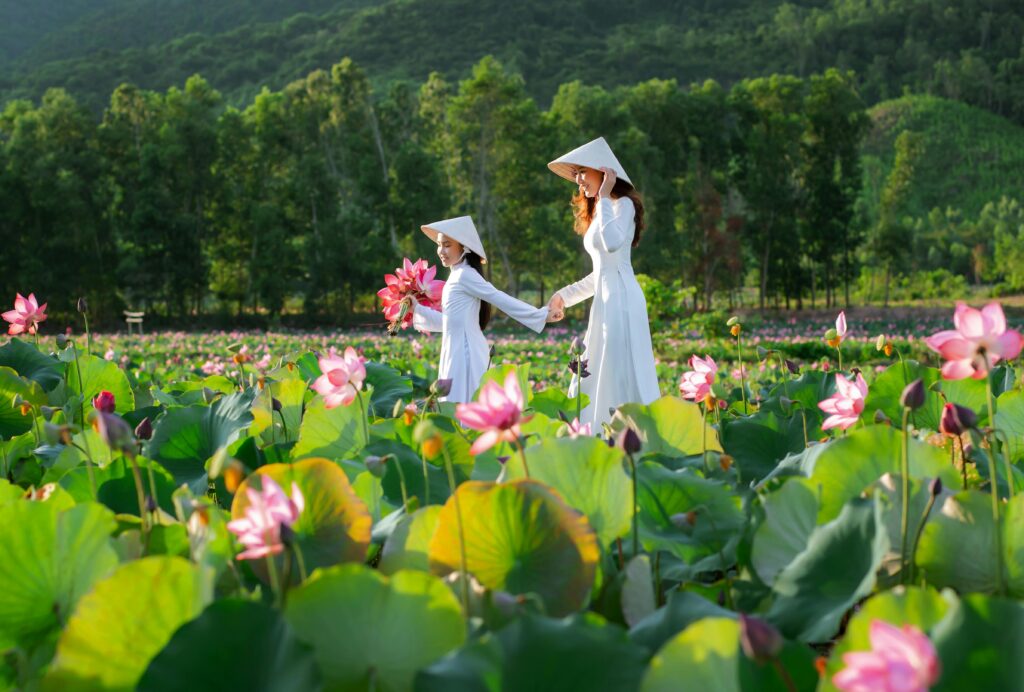 Traditional Vietnamese Women in Lotus Field at Hoi An