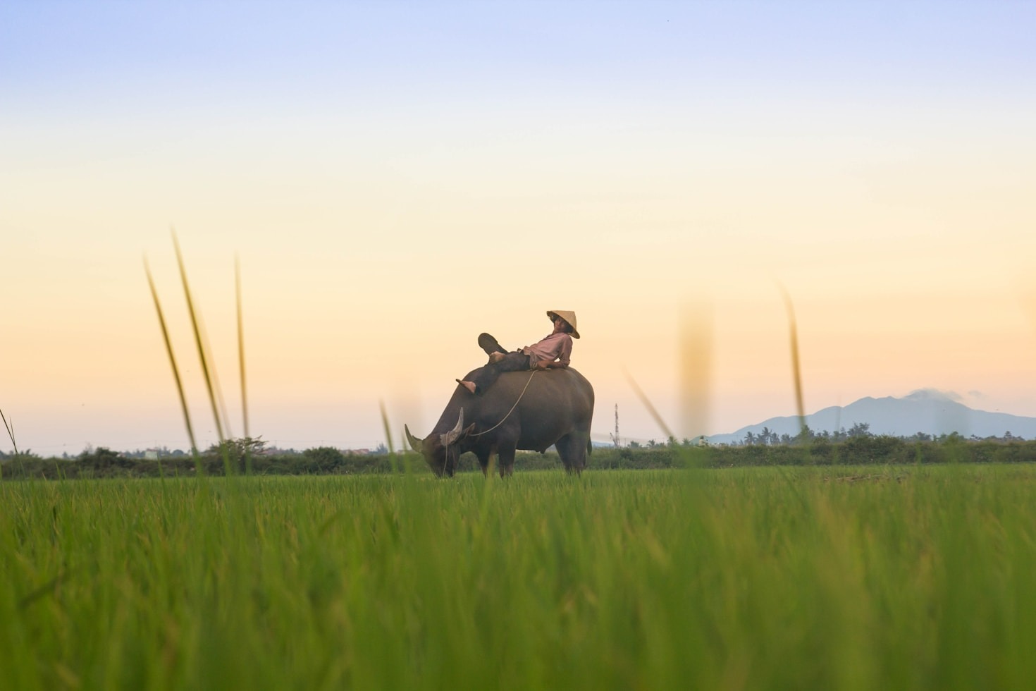 A Guide to Vietnam’s Cultural Festivals