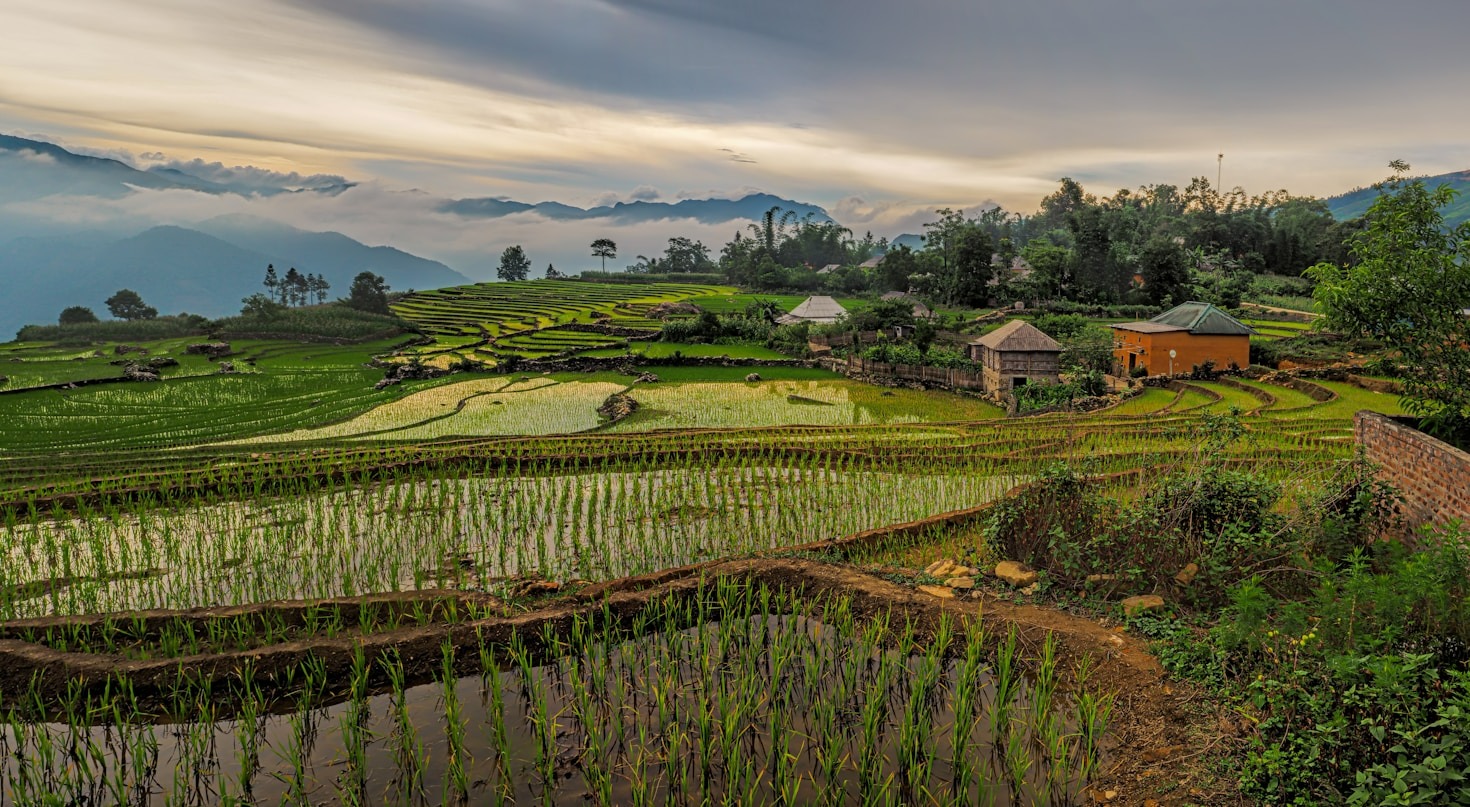 How to Travel Vietnam on a Budget