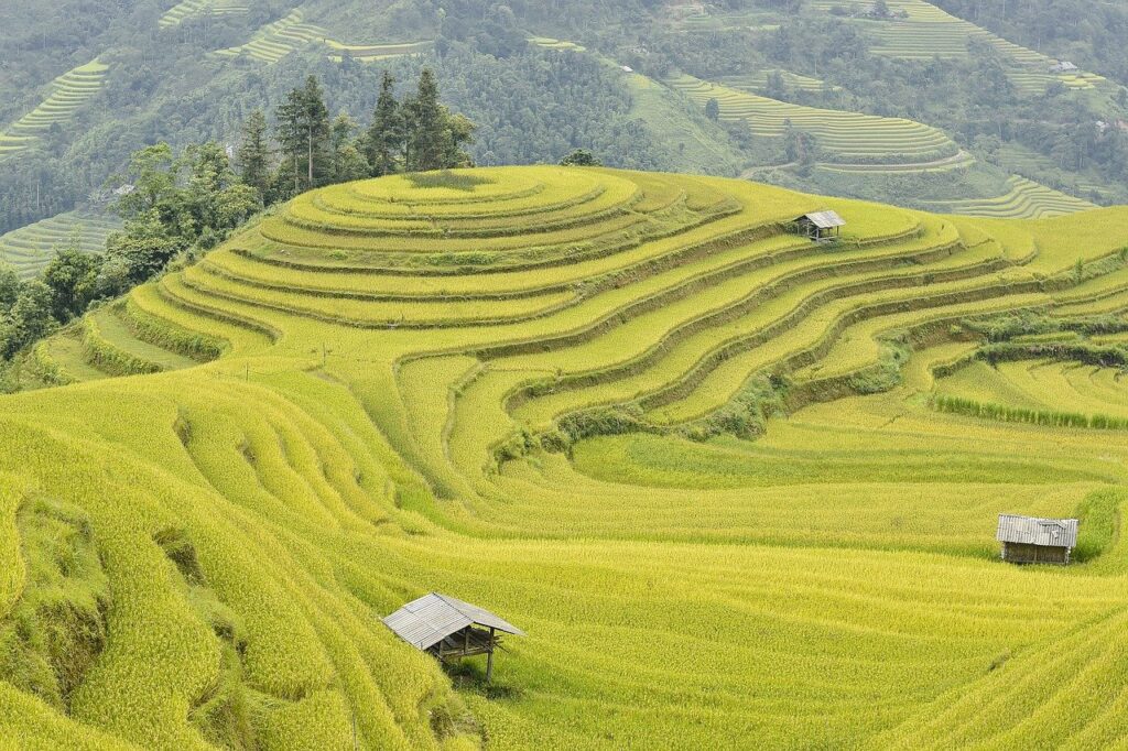 Mountain Vietnam village